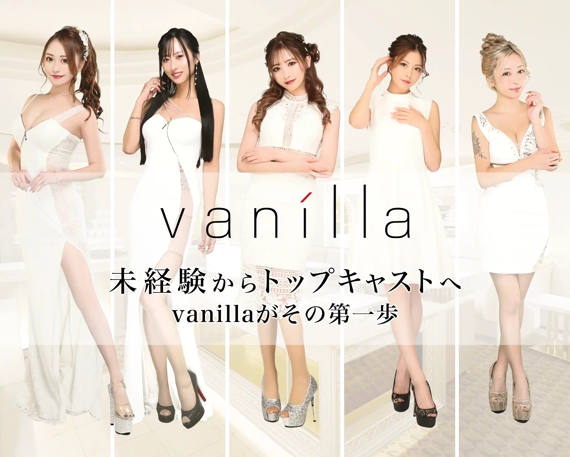 vanilla 求人