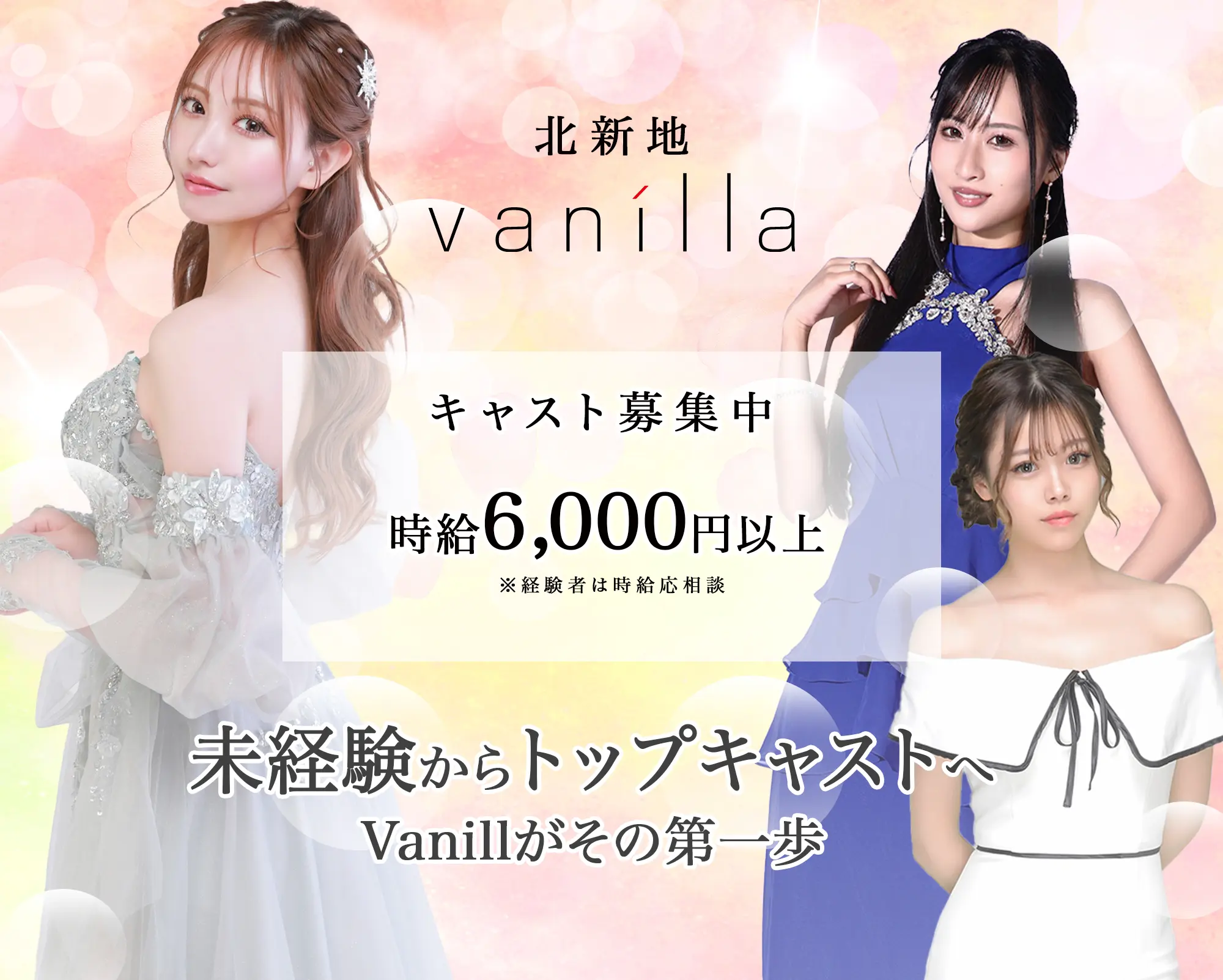 vanilla 求人